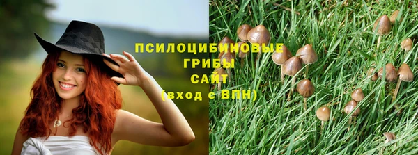 a pvp Алексин