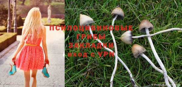 a pvp Алексин