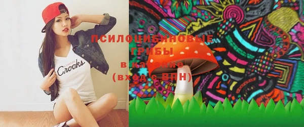 твердый Няндома